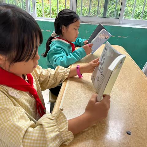 【爱心落地】521册图书点靓千庄小学校园 爱与知识的温暖传递——砚山县千庄小学图书捐赠反馈