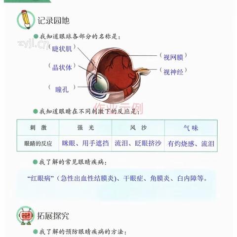 2023年青岛版科学六年级下册活动手册参考答案