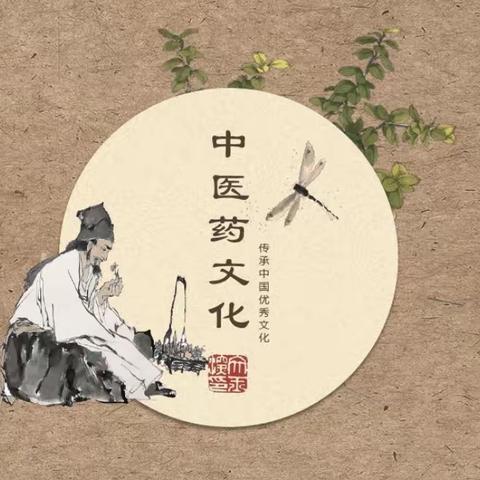 脉脉草药香，悠悠育人曲