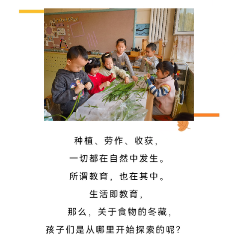 大一班11月课程故事：冬藏那些事～