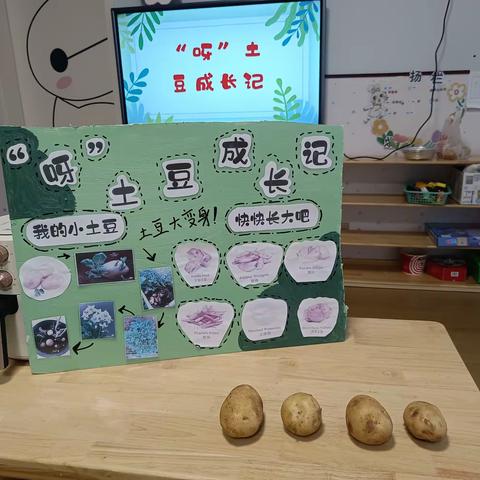 “呀”土豆成长记🥔