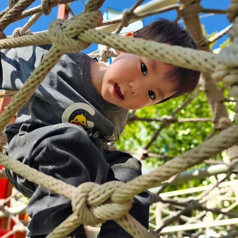 🌻🌻吐鲁番市臻梦托育园——宝贝周生活精彩回顾！✨✨✨