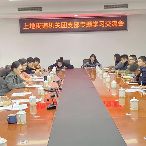 上地街道机关团支部召开专题学习交流会