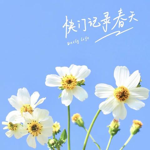 小眼👀寻春🌸乐