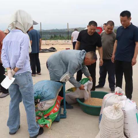 免费发小麦，浓情过端午——米河镇明月村开展端午节主题活动