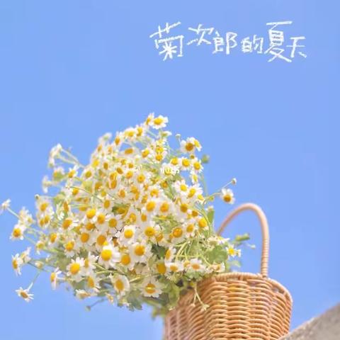 南郑区湘水镇中心幼儿园大班5月主题活动—《缤纷夏日》