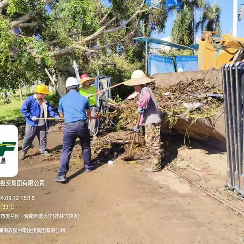 全力以“复” 重建有我——海垦中南助力开展海师大项目台风“摩羯”灾后重建