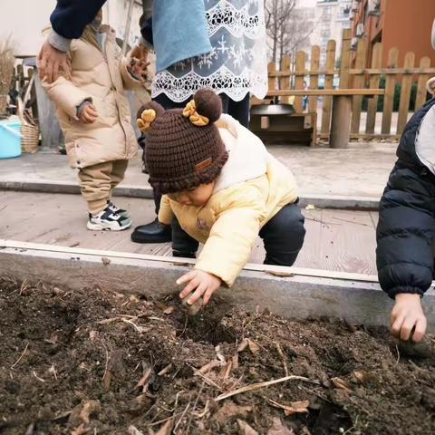 幼儿园播种：探索自然与成长的奇妙旅程