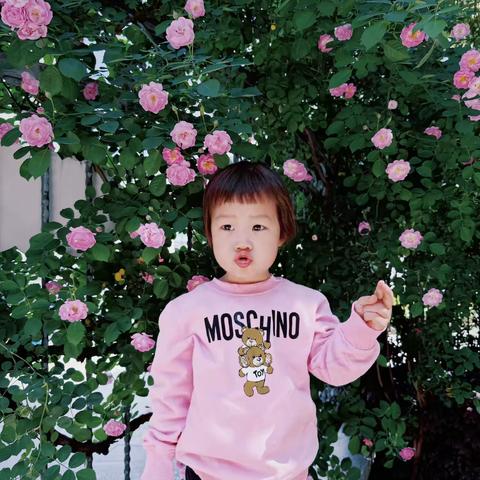 蔷薇花下的幼儿园时光