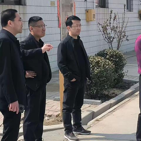 代表持续发力，共促乡村颜值大提升             ——柳树镇人大在行动