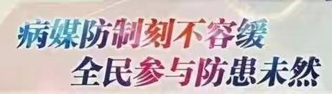 关于在县城范围集中开展病媒生物专业消杀活动的公告