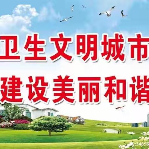 尽快行动 提质提速  为高标通过“国家卫生县”复审验收而努力