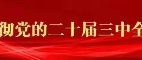 勿忘胜利八十载，秋日扬帆向未来——咸水沽第二中学开学季活动纪实