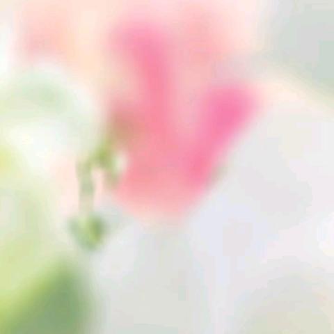 中华名城一期三月服务报告