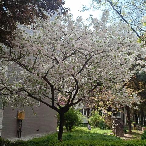 达生物业·三月份服务简报