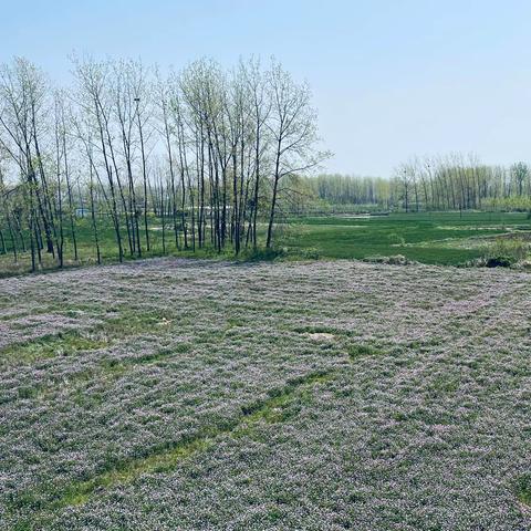 学地理揽天下奇观  教地理炼博大胸怀——记文科组第九次集中教研活动