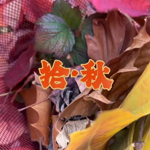 唐山康复教育中心康训科融合周主题活动——拾叶创想，定格秋冬