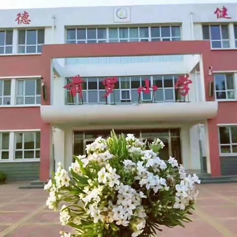 阳光体育促成长，健康体育赢未来 前罗小学“两操一作业”工作汇报