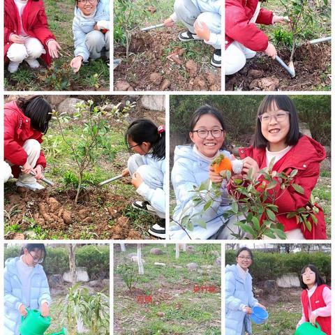 “植下希望，撒下祝福”                             ——实验小学五（6）班