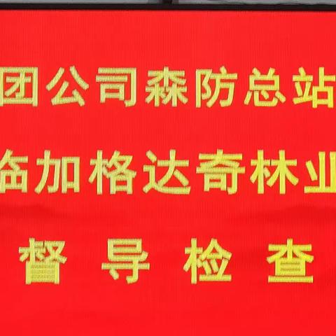 集团林业有害生物防治总站督导检查组到加格达奇林业局检查指导工作