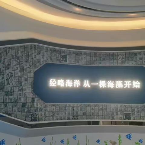 明月海藻欢乐研学记