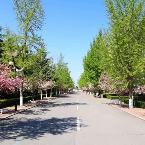 踏春行青衿致远，教研路与君云程──271教育集团语文学科专家进校园活动