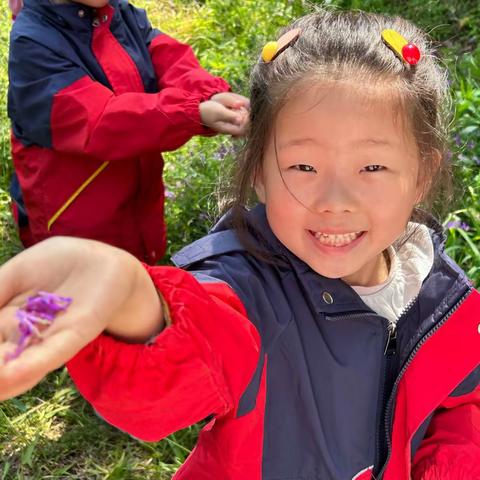 “摘野菜（毛苕子），觅春趣”——市直幼信谊分园劳动节实践活动