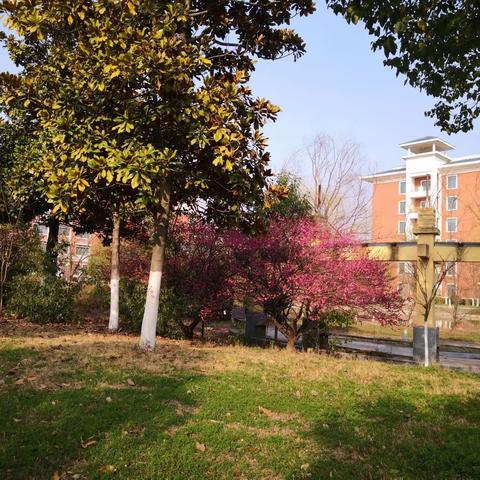 九年级寄宿生书写成果展示