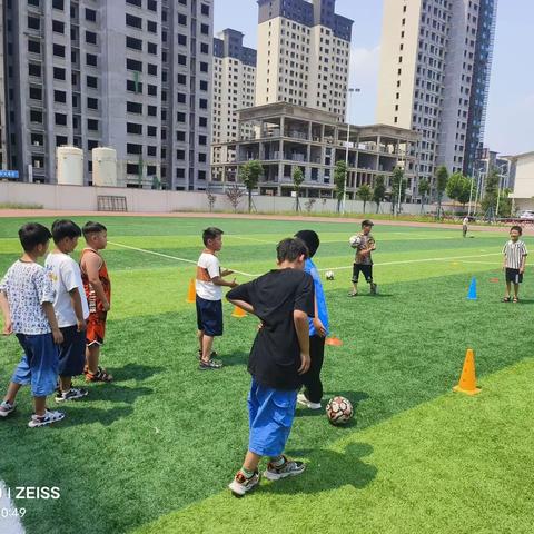 淮阳明礼小学“双减”下的体育课