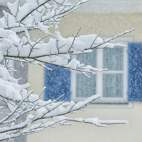 大雪至，冬意浓——淮安市承德路幼儿园二十四节气之大雪