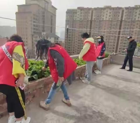 珍爱生命，远离毒品-金耀街道土城社区持续开展罂粟禁种踏查活动