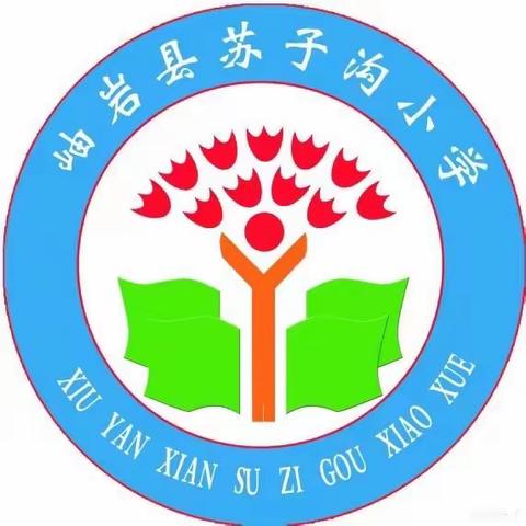 奋斗新征程  青春创未来 ———系列之二  苏子沟镇中心校青年教师岗位大练兵