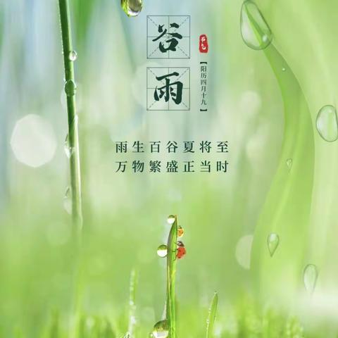 东风诗岚幼儿园——小班《谷雨》种植黄豆