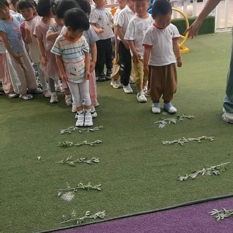 乐贝幼儿园“粽夏童趣·双节同欢 ” —— 当端午遇见六一的奇妙之旅