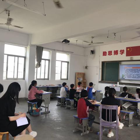 德润心灵，法护成长——记白杨小学道德与法治公开课