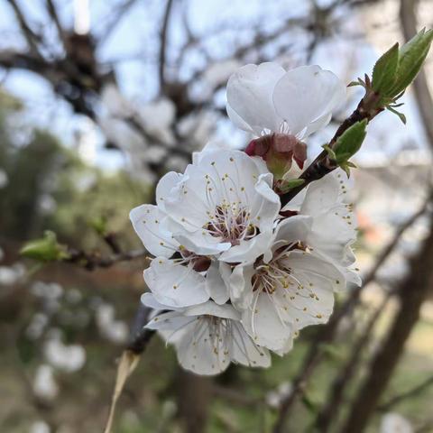 皇嘉物业【体育馆项目】2024年3月份工作简报