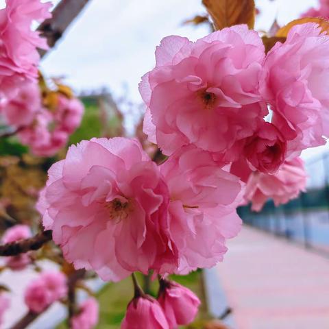 皇嘉物业【体育馆项目】4月份工作简报