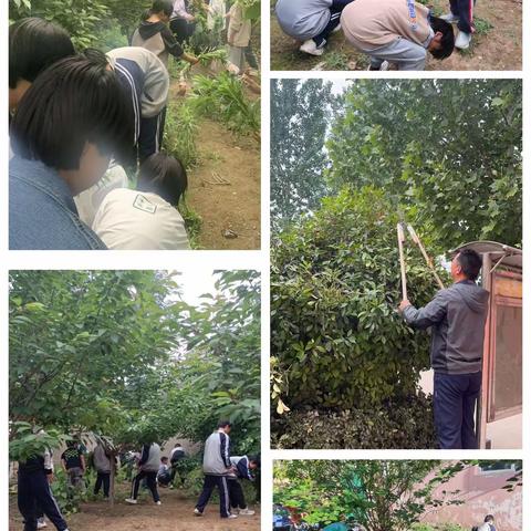 年少多活力 劳动正当时