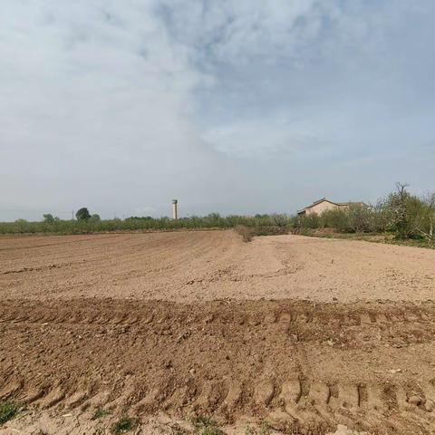 礼泉县农业农村局种子管理站：牵住新品种展示牛鼻子，筑牢春播好品种底座子