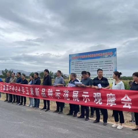 全市2024年玉米新品种示范展示观摩会在礼召开