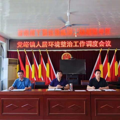 狠抓环境卫生整治，擦亮乡村秀美底色——党峪镇月中卫生治理