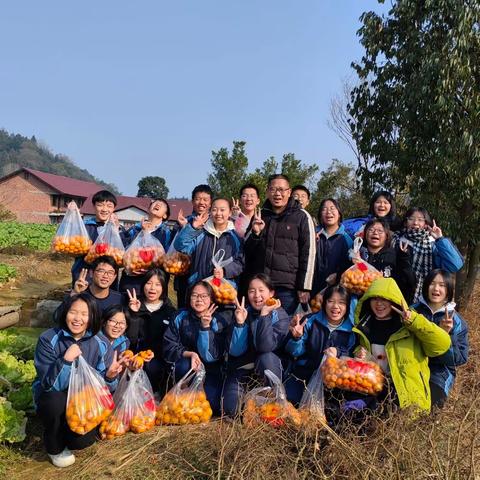 东坪镇酉州学校第16-17周工作简报