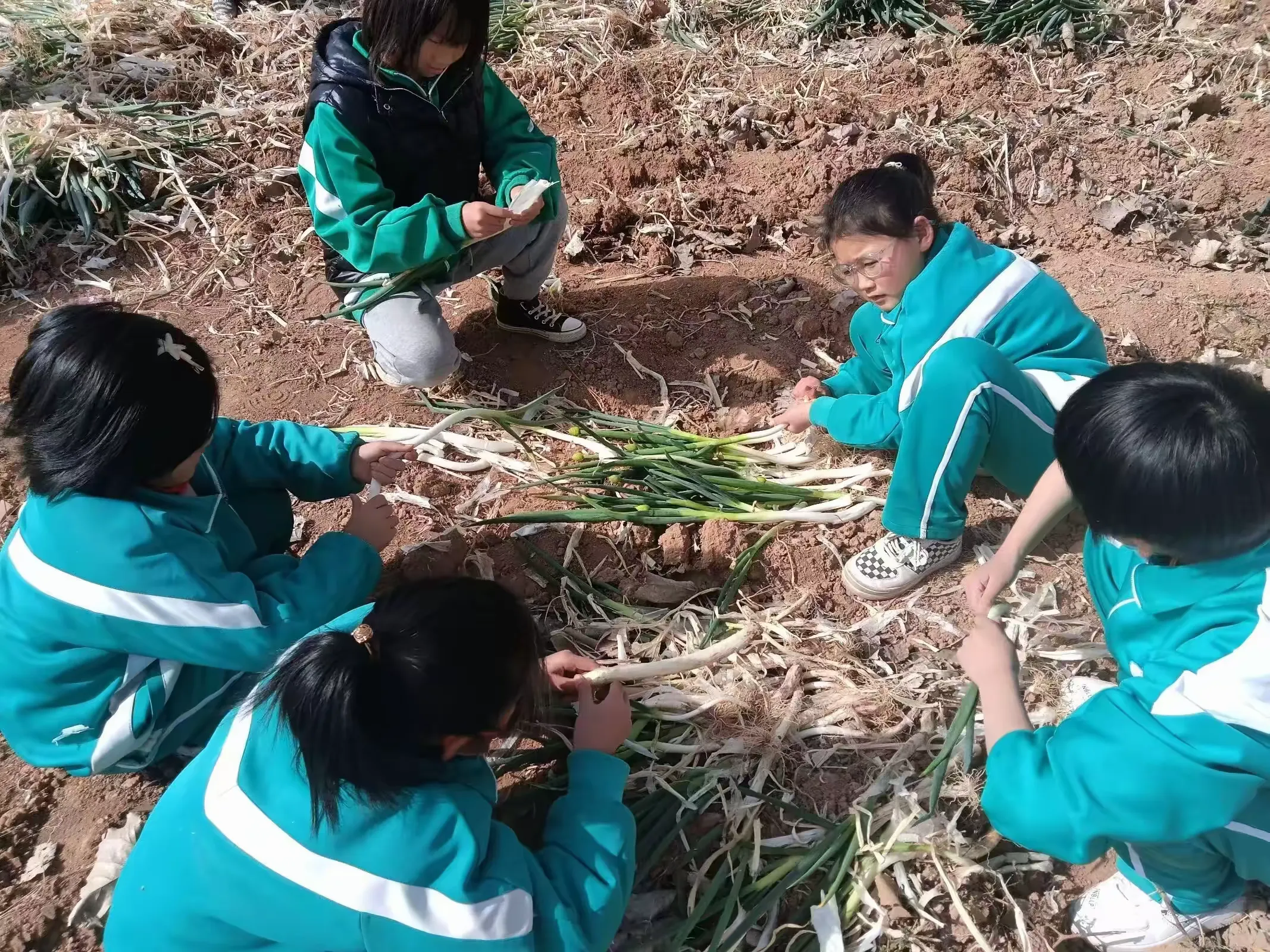 简篇-川口乡南朝小学2023年学校十大盛事全记录