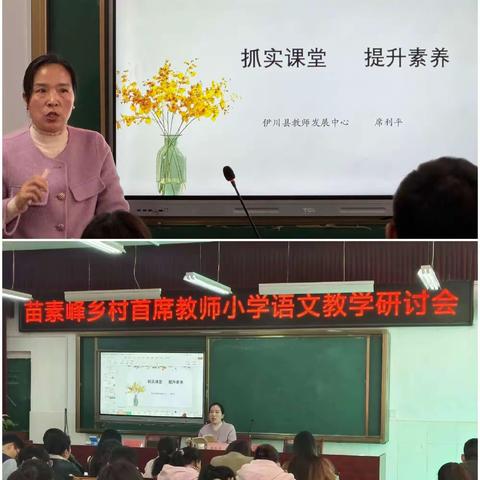 专家引领明方向 赋能成长共进步——苗素峰乡村首席教师小学语文教学研讨会