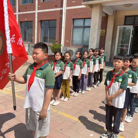 蝉鸣初夏陇飘香，风吹麦浪收割忙——朱集镇大徐小学麦收劳动实践活动纪实