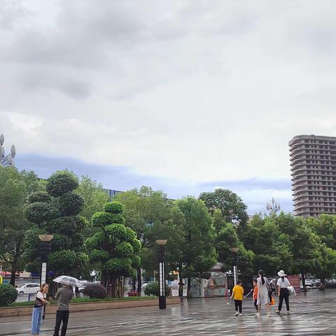 等雨的心情趁机和自己独自处处