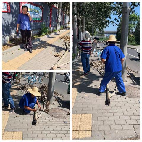 高压电线击穿树枝，社区巡防消除隐患