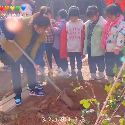 宜佳幼儿园主题活动——拥抱自然