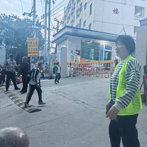 2025年主题党日活动（1、2月）