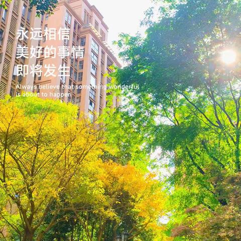 桐梓林欧城物业服务中心2024年5月工作简报